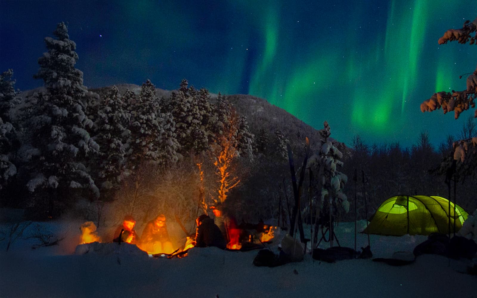 From Rovaniemi: Northern Lights Guided Tour with Lappish Barbecue & Drinks