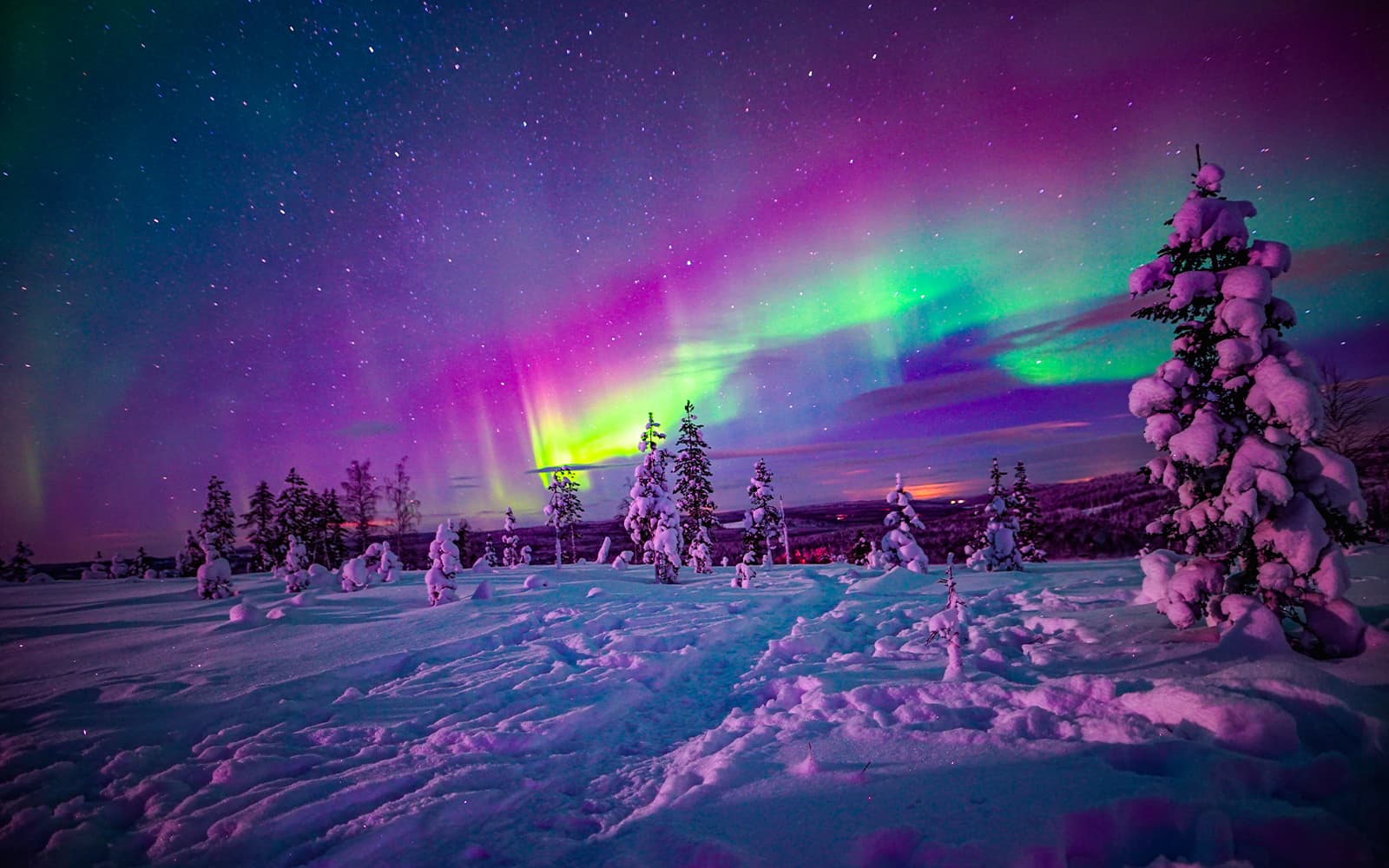 From Rovaniemi: Northern Lights Guided Tour with Lappish Barbecue & Drinks tickets in Rovaniemi - Activities | TickYourList