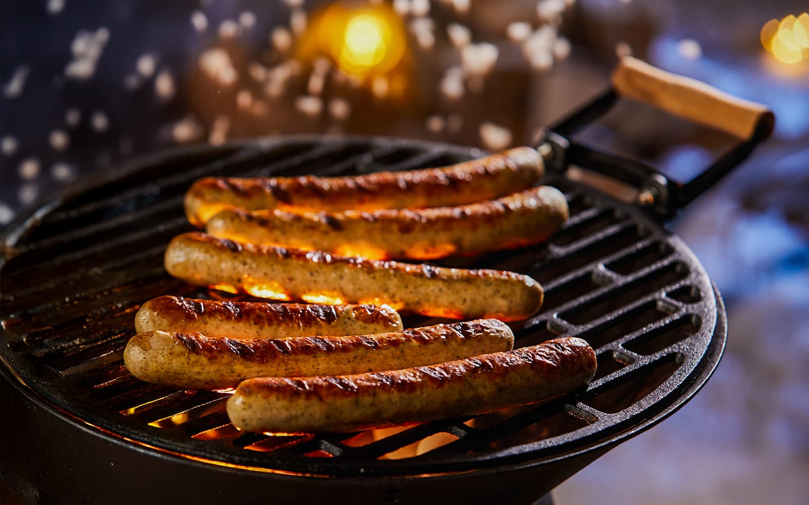 From Rovaniemi: Northern Lights Guided Tour with Lappish Barbecue & Drinks tickets in Rovaniemi - Highlights | TickYourList