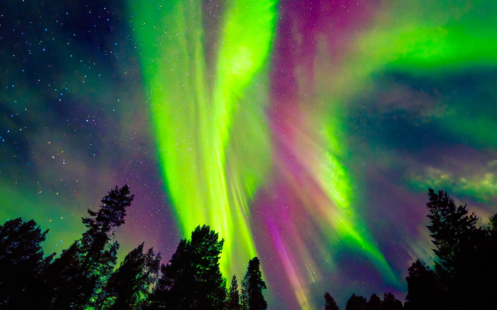 From Rovaniemi: Aurora Pro Photography Expedition tickets in Rovaniemi - Activities | TickYourList