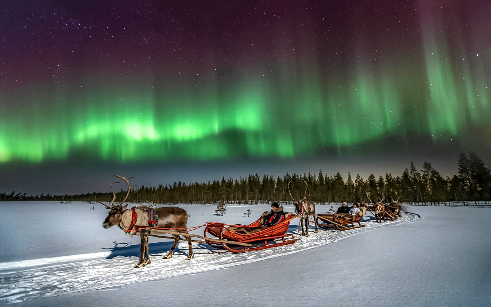 Rovaniemi: Northern Lights with Reindeer Sledding