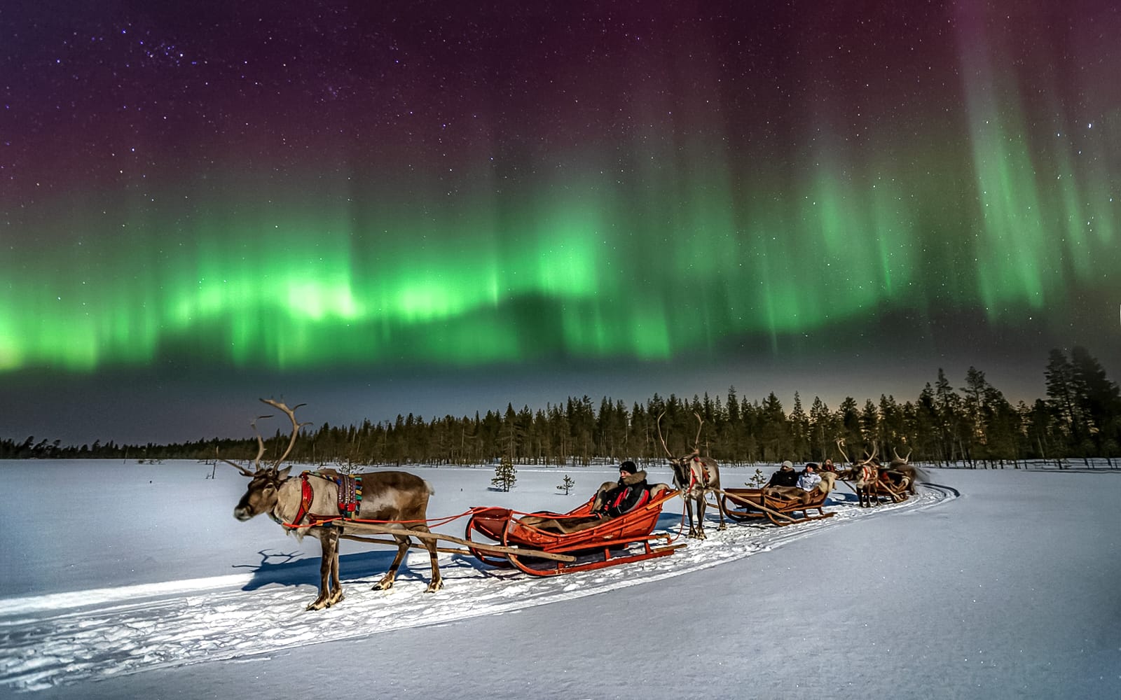 Rovaniemi: Northern Lights with Reindeer Sledding experience tickets in Rovaniemi | TickYourList