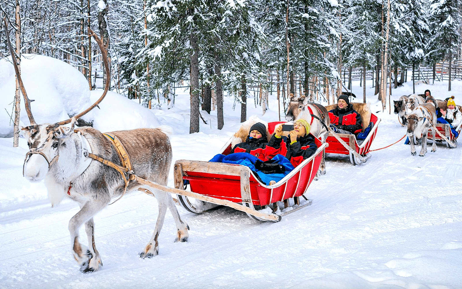 Rovaniemi: Northern Lights with Reindeer Sledding tickets in Rovaniemi - Activities | TickYourList