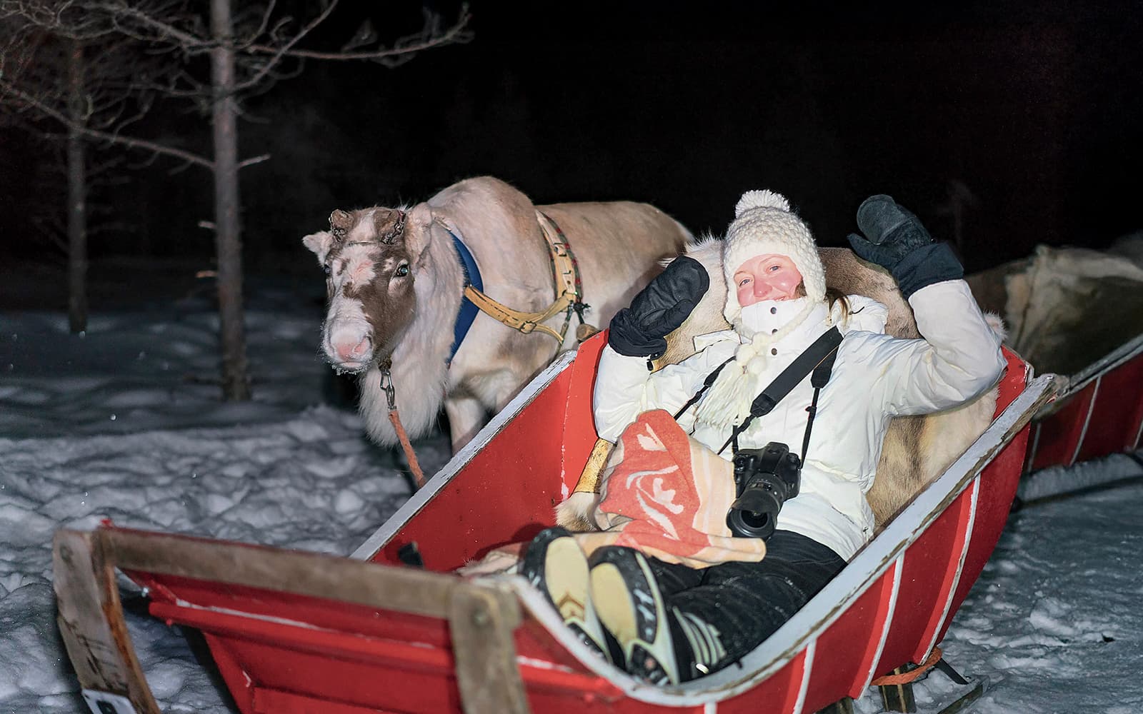 Rovaniemi: Northern Lights with Reindeer Sledding tickets in Rovaniemi - Highlights | TickYourList