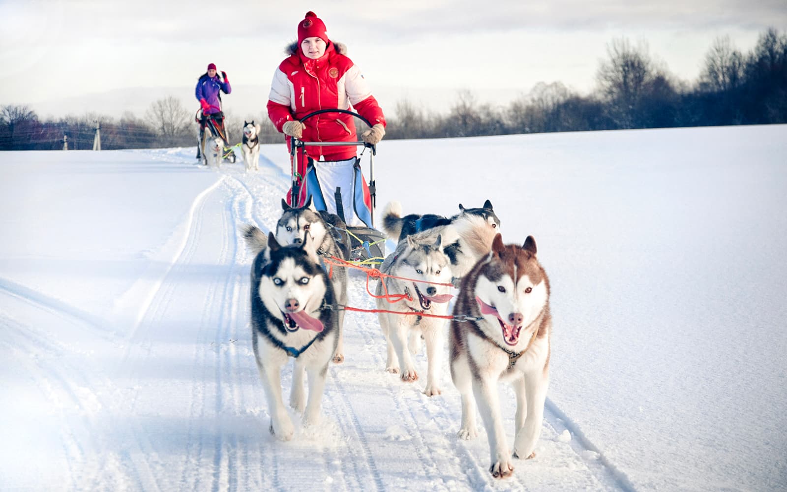 Day and Evening Tour – Santa's Pets, Sledding & Aurora Hunt tickets in Rovaniemi - Activities | TickYourList