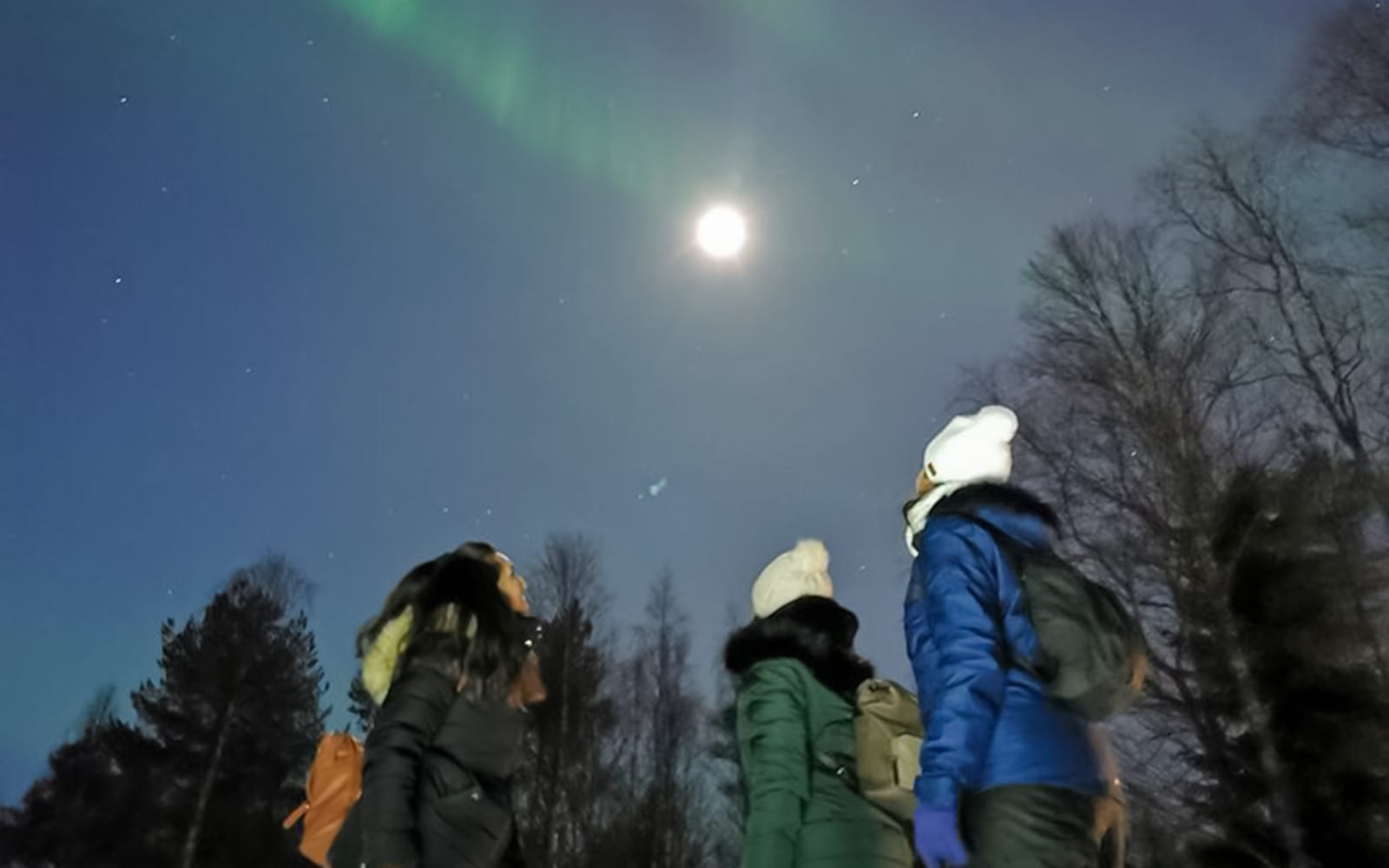 Day and Evening Tour β Santa's Pets, Sledding & Aurora Hunt tickets in Rovaniemi - Highlights | TickYourList