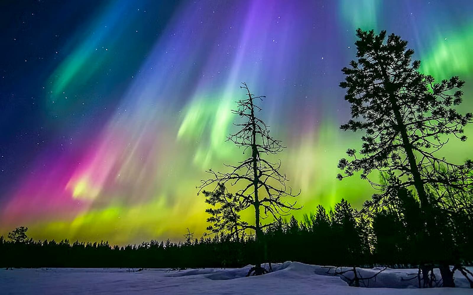 Rovaniemi: Northern Lights Sauna Experience tickets in Rovaniemi - Activities | TickYourList