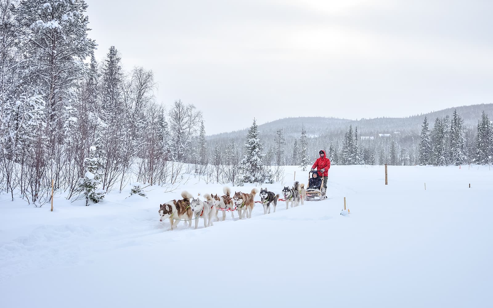 Long Self-Driven Husky Sleigh Ride