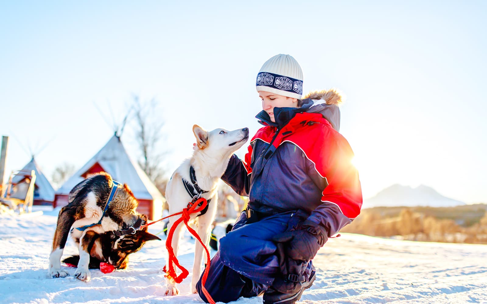 Long Self-Driven Husky Sleigh Ride tickets in Rovaniemi - Activities | TickYourList