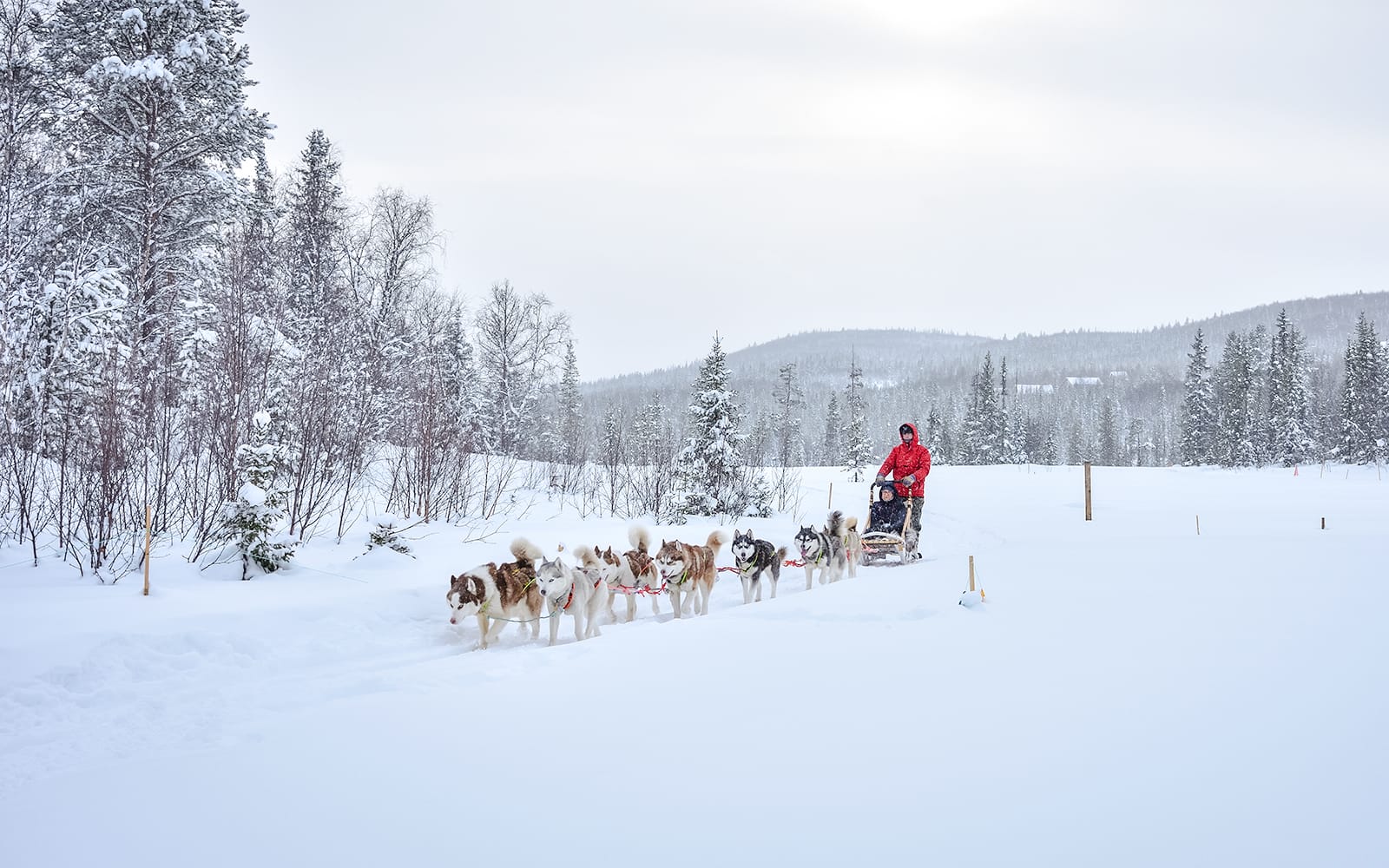 Meet Santa Claus, Reindeer Sleigh Ride & Huskies tickets in Rovaniemi - Highlights | TickYourList