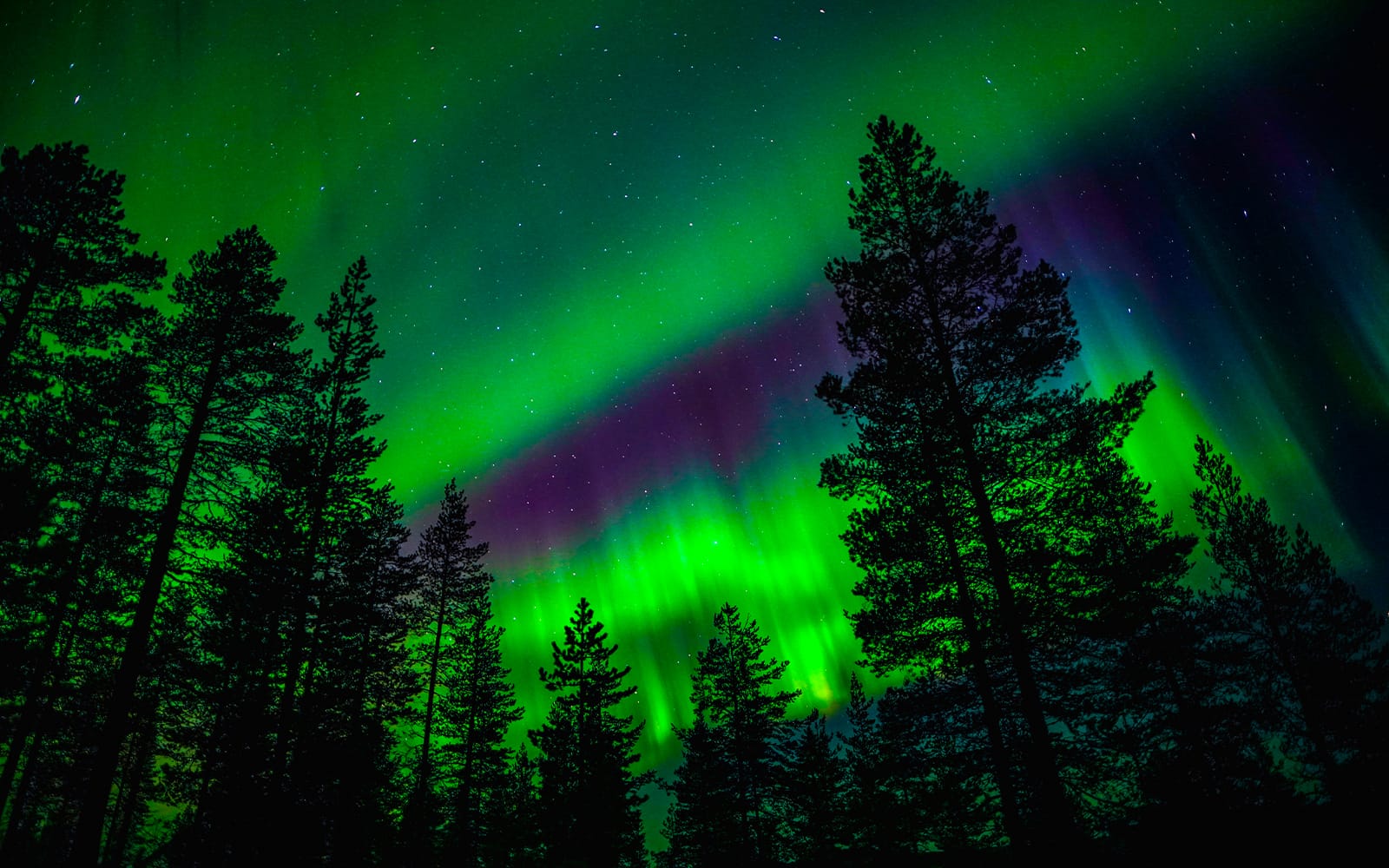 Rovaniemi: 3-Hour Northern Lights Adventure with Hotel Transfers tickets in Rovaniemi - Attractions | TickYourList