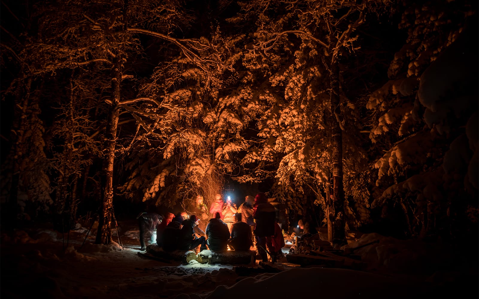 Rovaniemi: 3-Hour Northern Lights Adventure with Hotel Transfers tickets in Rovaniemi - Activities | TickYourList