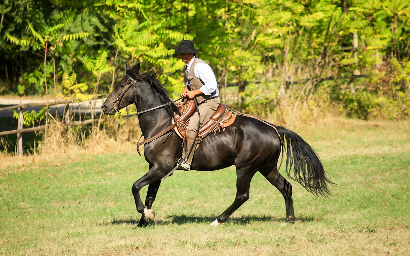 Tickets to 1.5-Hour Horseback Riding Experience from Siena