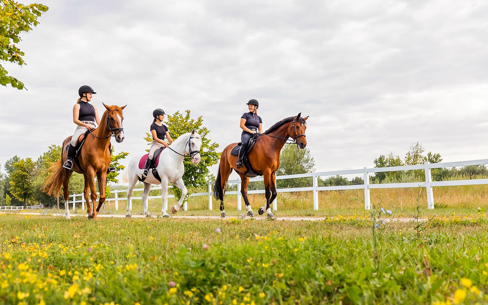 Tickets to 1.5-Hour Horseback Riding Experience from Siena in Siena - Attractions | TickYourList