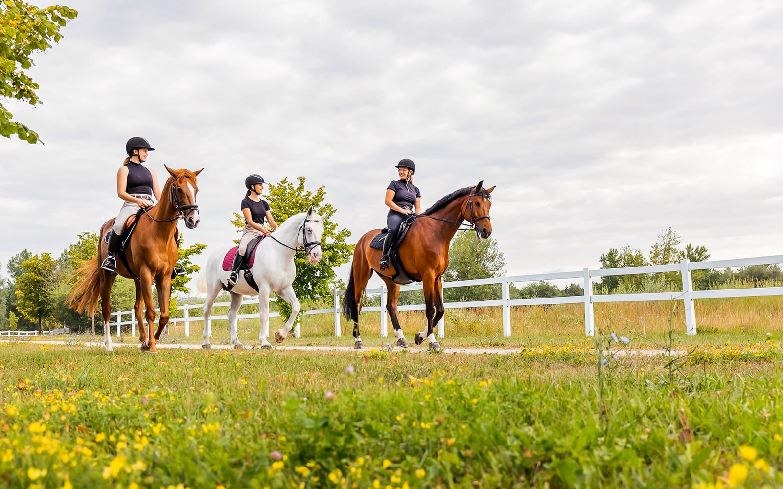 Tickets to 1.5-Hour Horseback Riding Experience from Siena in Siena - Attractions | TickYourList