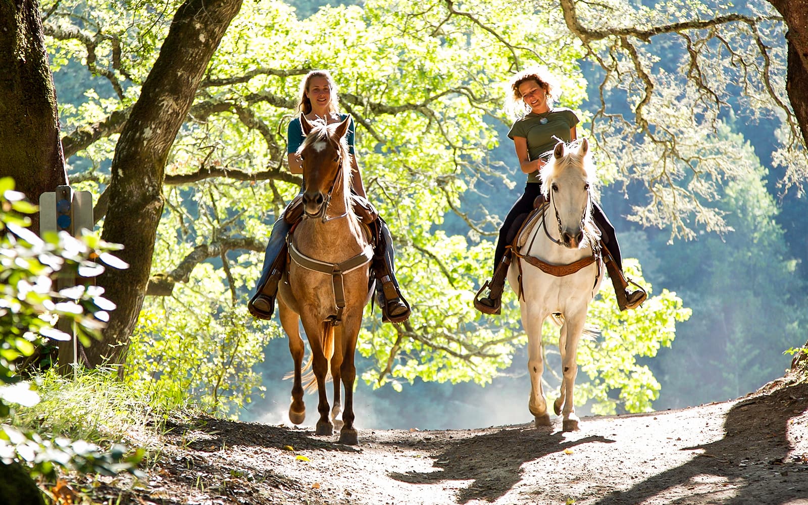 Tickets to 1.5-Hour Horseback Riding Experience from Siena in Siena - Activities | TickYourList
