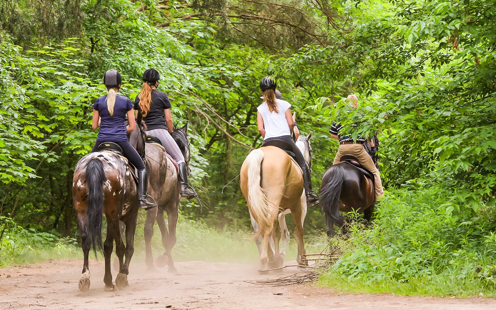 Tickets to 1.5-Hour Horseback Riding Experience from Siena in Siena - Highlights | TickYourList