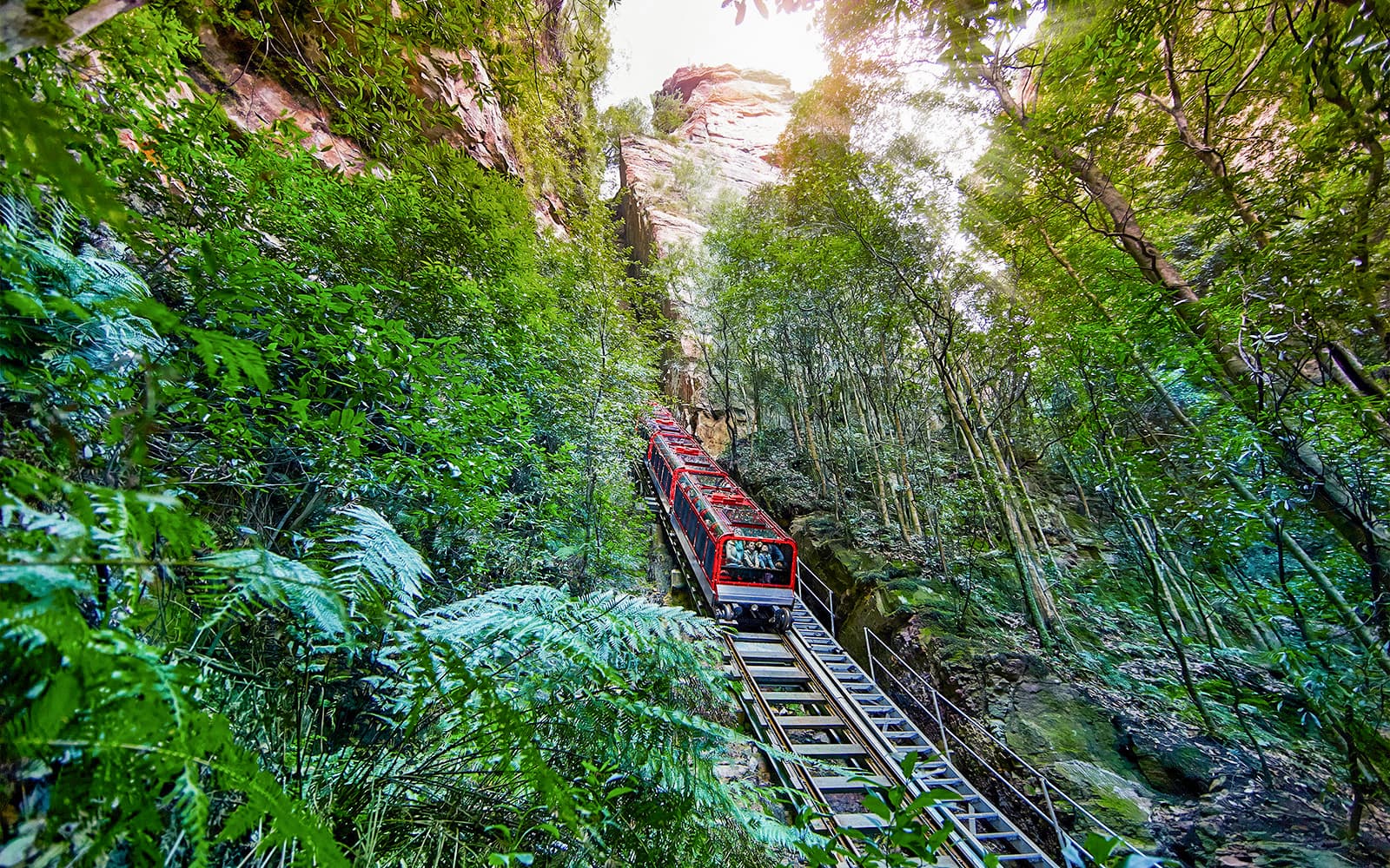 Sydney Blue Mountains Hop-on Hop-off Bus Tour with Scenic World Pass tickets in Sydney - Features | TickYourList