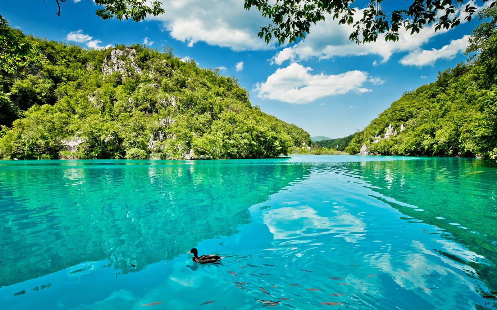 From Split: Full-Day Trip to Plitvice Lakes National Park with Guided Tour Option tickets in Split - Highlights | TickYourList