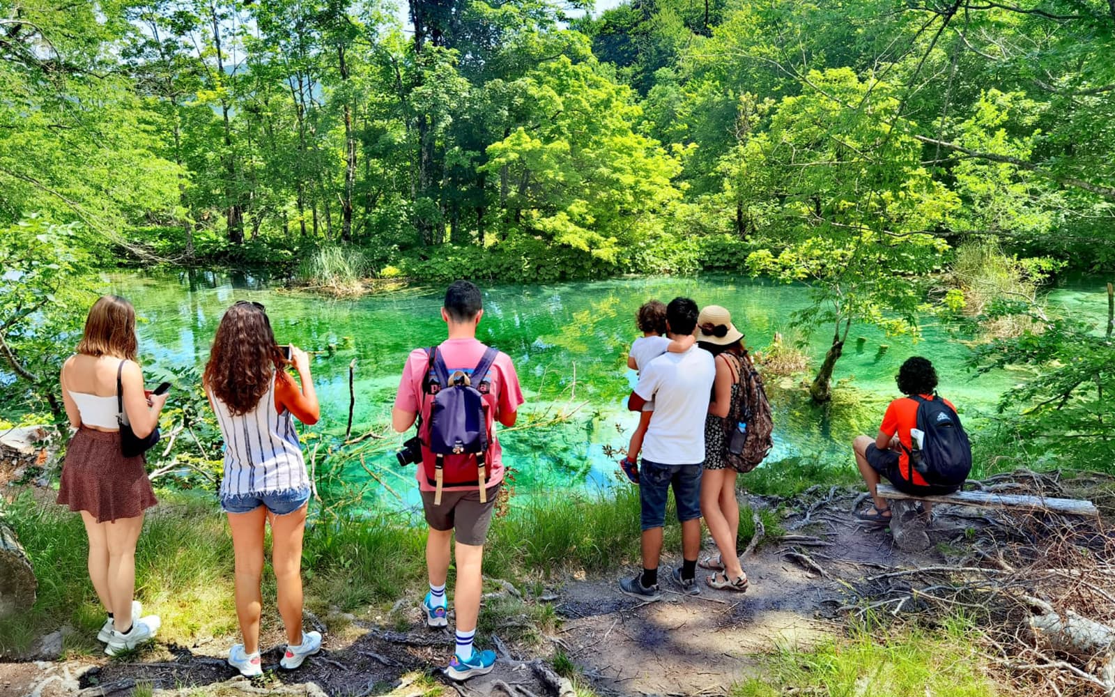 From Split: Full-Day Trip to Plitvice Lakes National Park with Guided Tour Option tickets in Split - Features | TickYourList