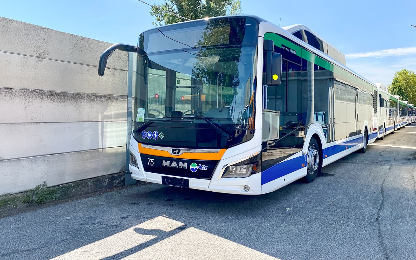ACTV Aerobus Bus Transfer: Venice Marco Polo Airport to/from Venice Piazzale Roma tickets in Venice - Full Experience | TickYourList