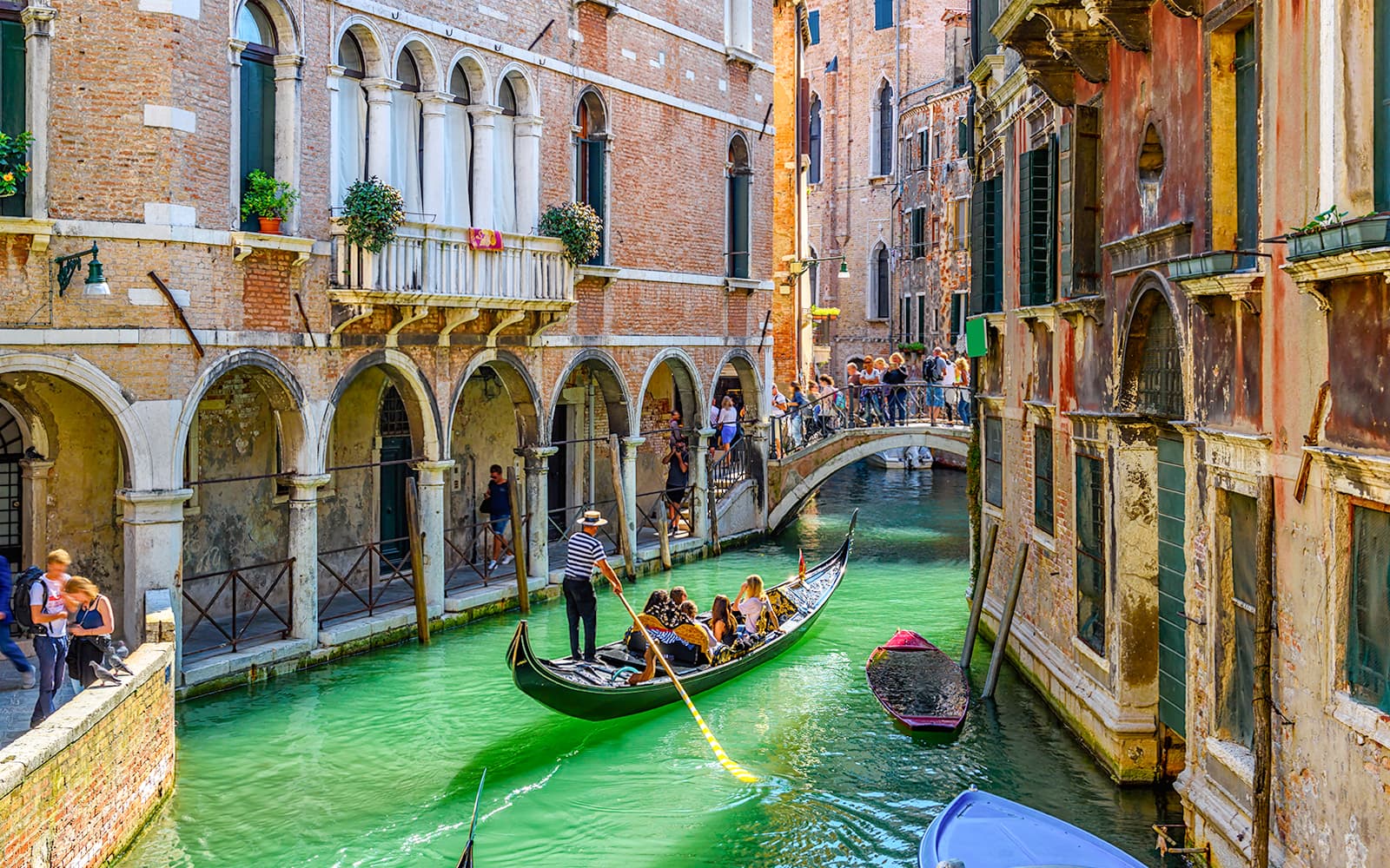 Venice in a Day: St. Mark’s, Doge’s Palace, Murano & Burano with Gondola Ride tickets in Venice - Highlights | TickYourList