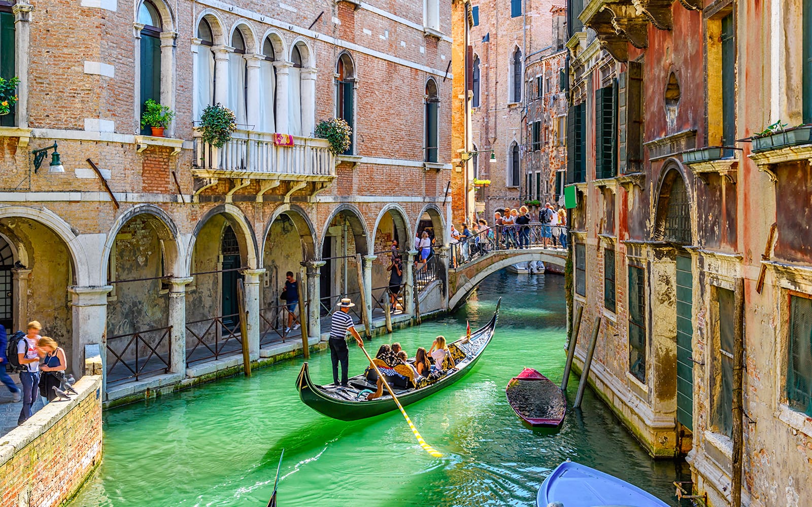 Venice in a Day: St. Mark’s, Doge’s Palace, Murano & Burano with Gondola Ride tickets in Venice - Highlights | TickYourList