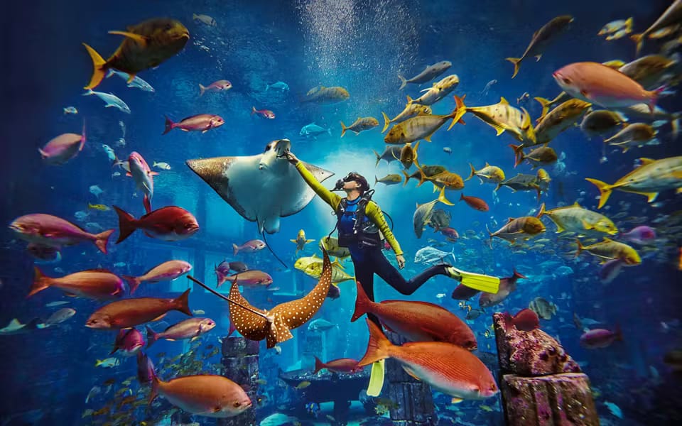 84ab6a61-49cf-410e-9a8b-8218f3dfb5a8-14390-ScubaDiveatAtlantisAquaventure-5.avif