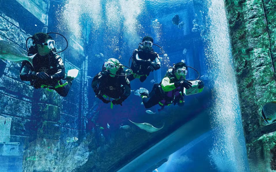942edb65-abe7-4efa-8337-dff4096a82ff-14390-ScubaDiveatAtlantisAquaventure-6.avif