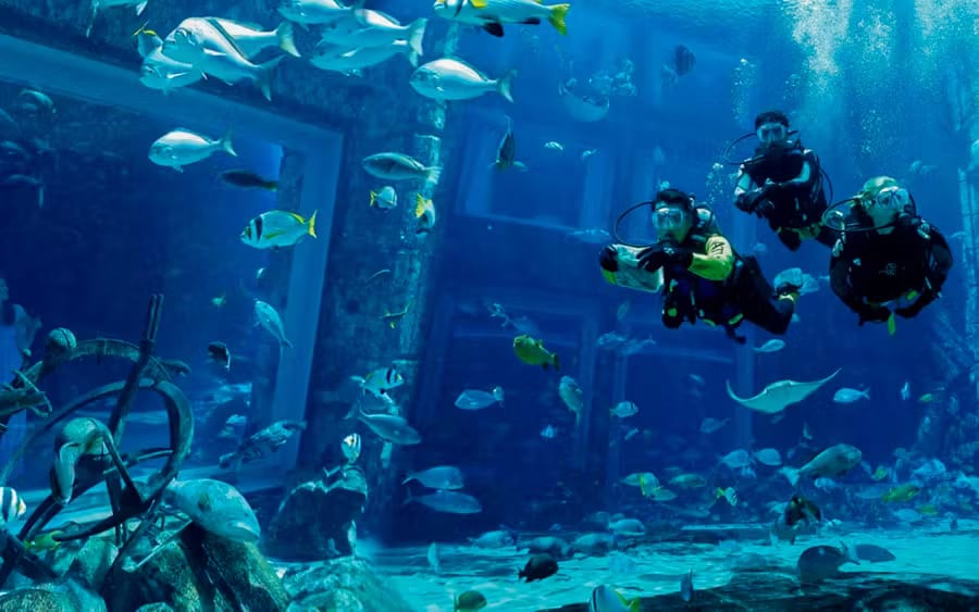 92bd4c8d-2d35-44d8-9ec0-7a3591b242b6-14390-ScubaDiveatAtlantisAquaventure.avif