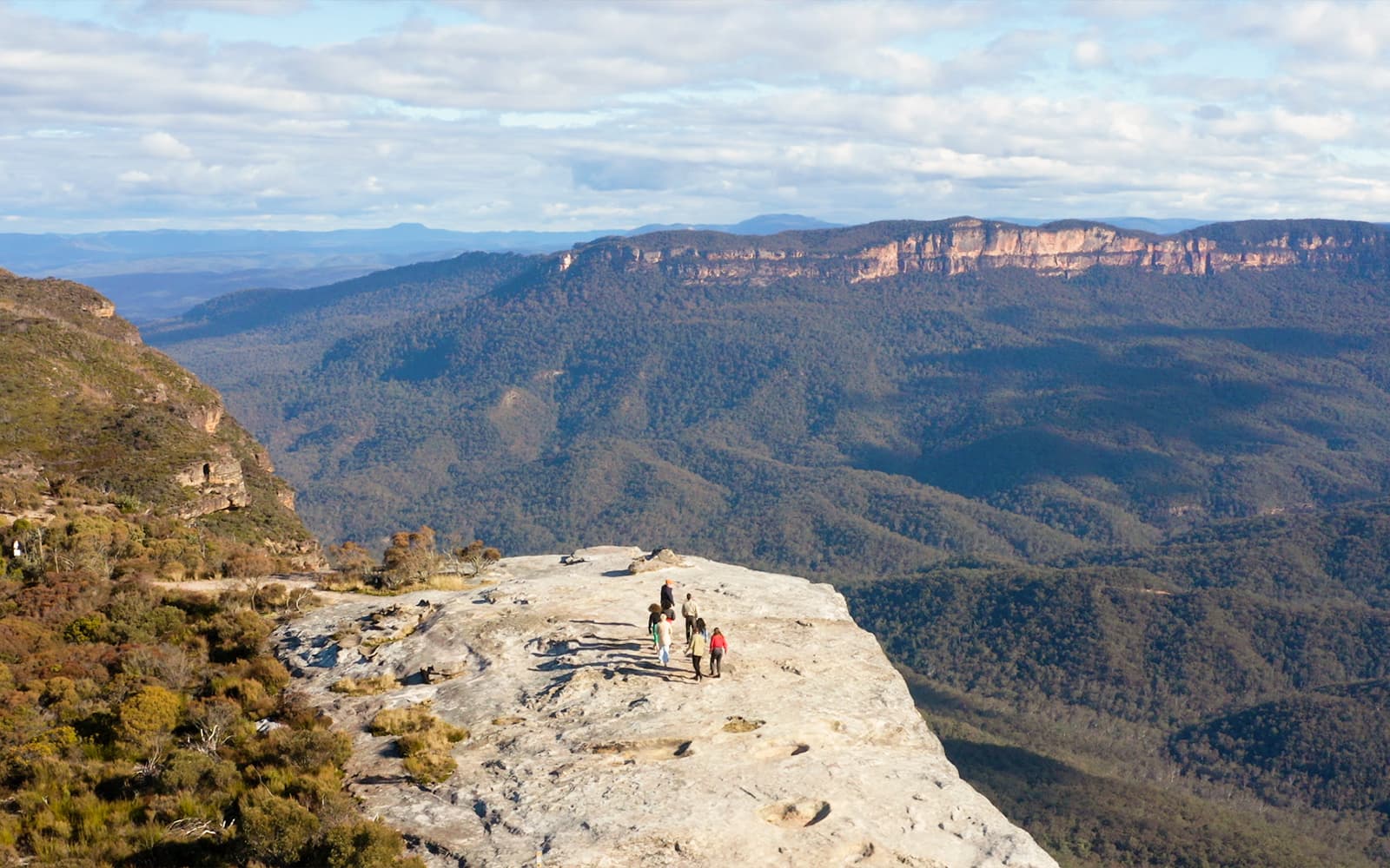 Blue Mountains Tour with Wentworth Falls, Guided Bushwalks & River Cruise