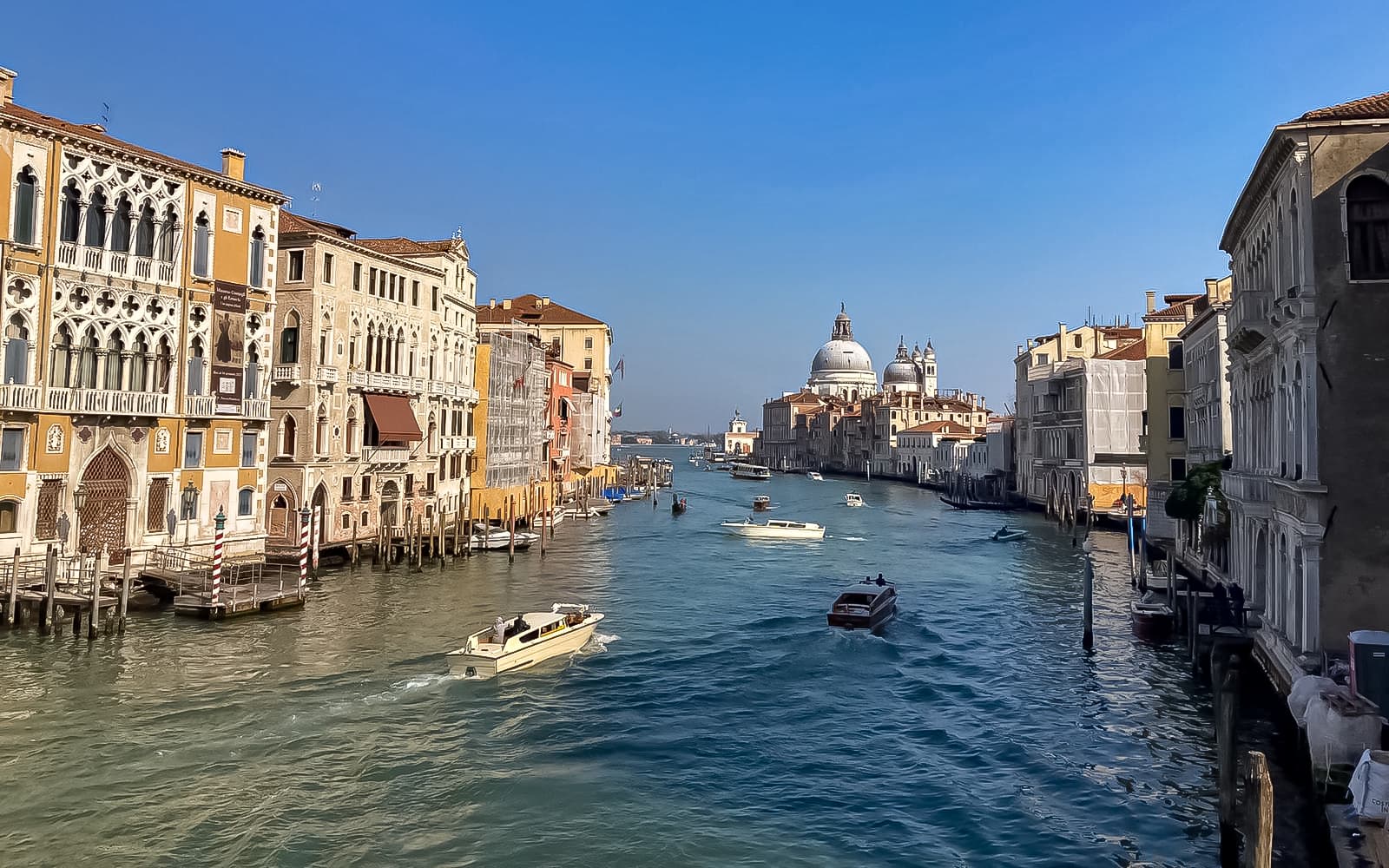 1-Hour Sightseeing Cruise on the Grand Canal tickets in Venice - Attractions | TickYourList