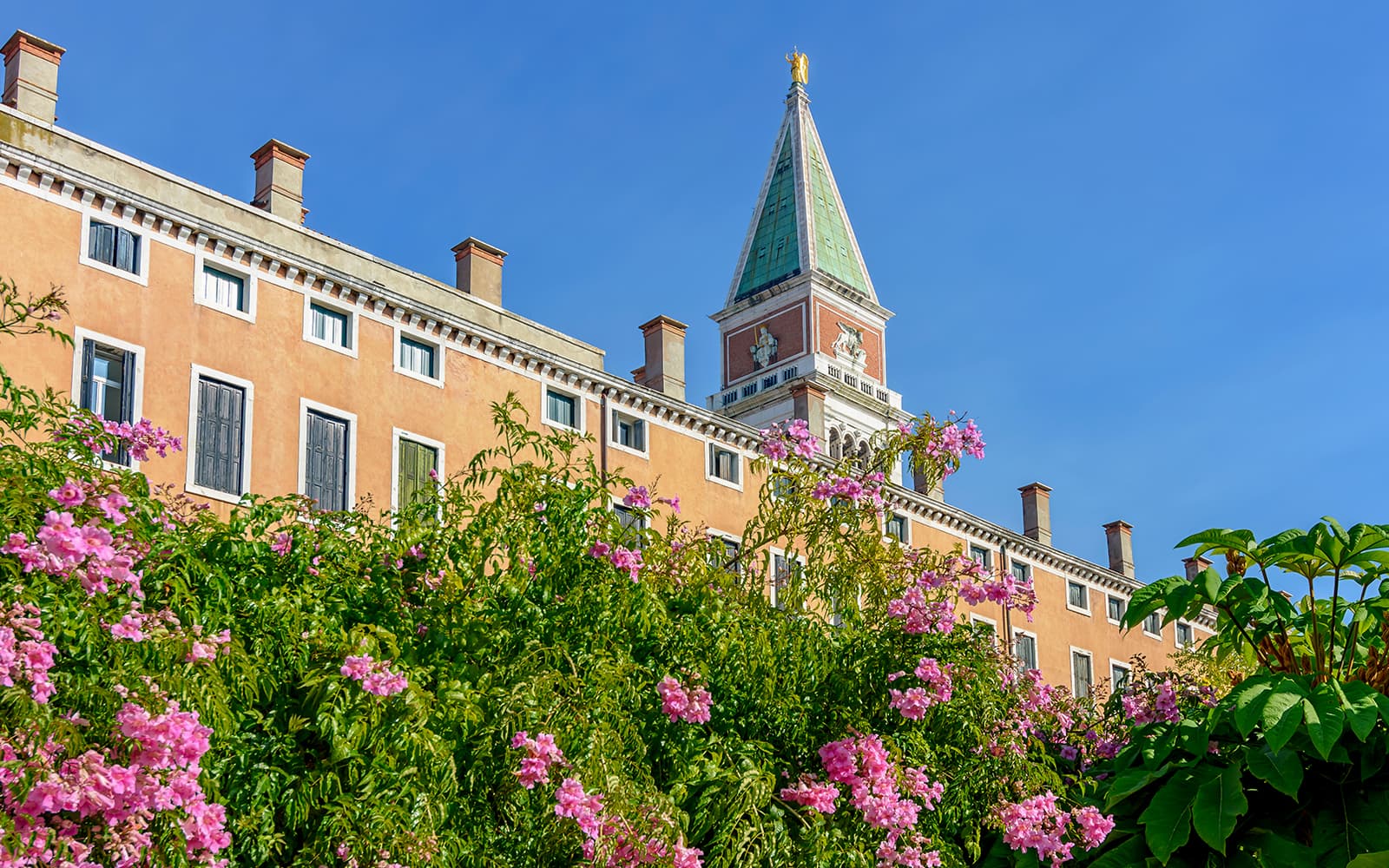 Lunch at Illy Cafe with Royal Gardens Views tickets in Venice - Attractions | TickYourList