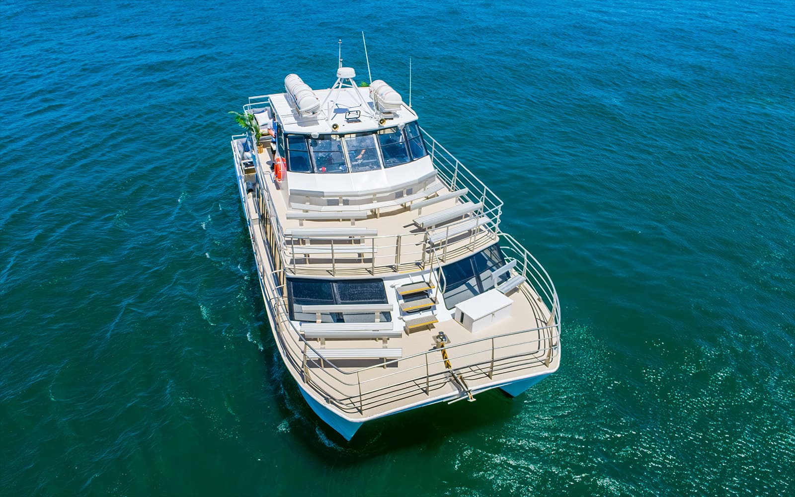 Sydney Whale Watching Cruise tickets in Sydney - Features | TickYourList