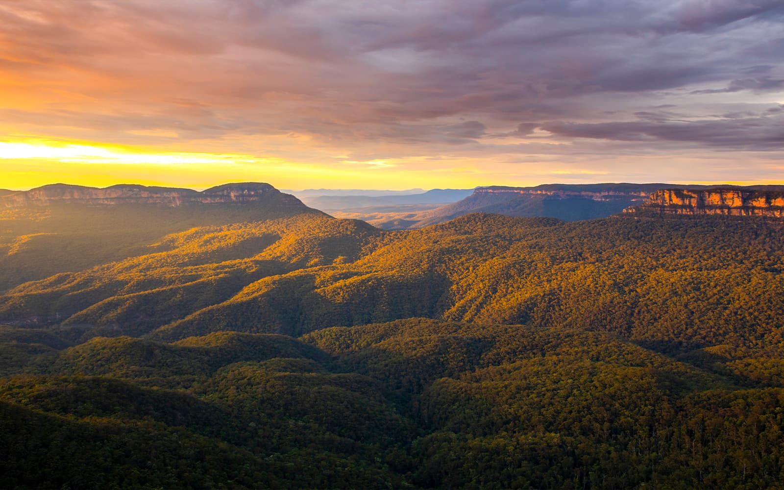 Blue Mountains Sunset Tour with Guided Bushwalks & Wildlife Trails