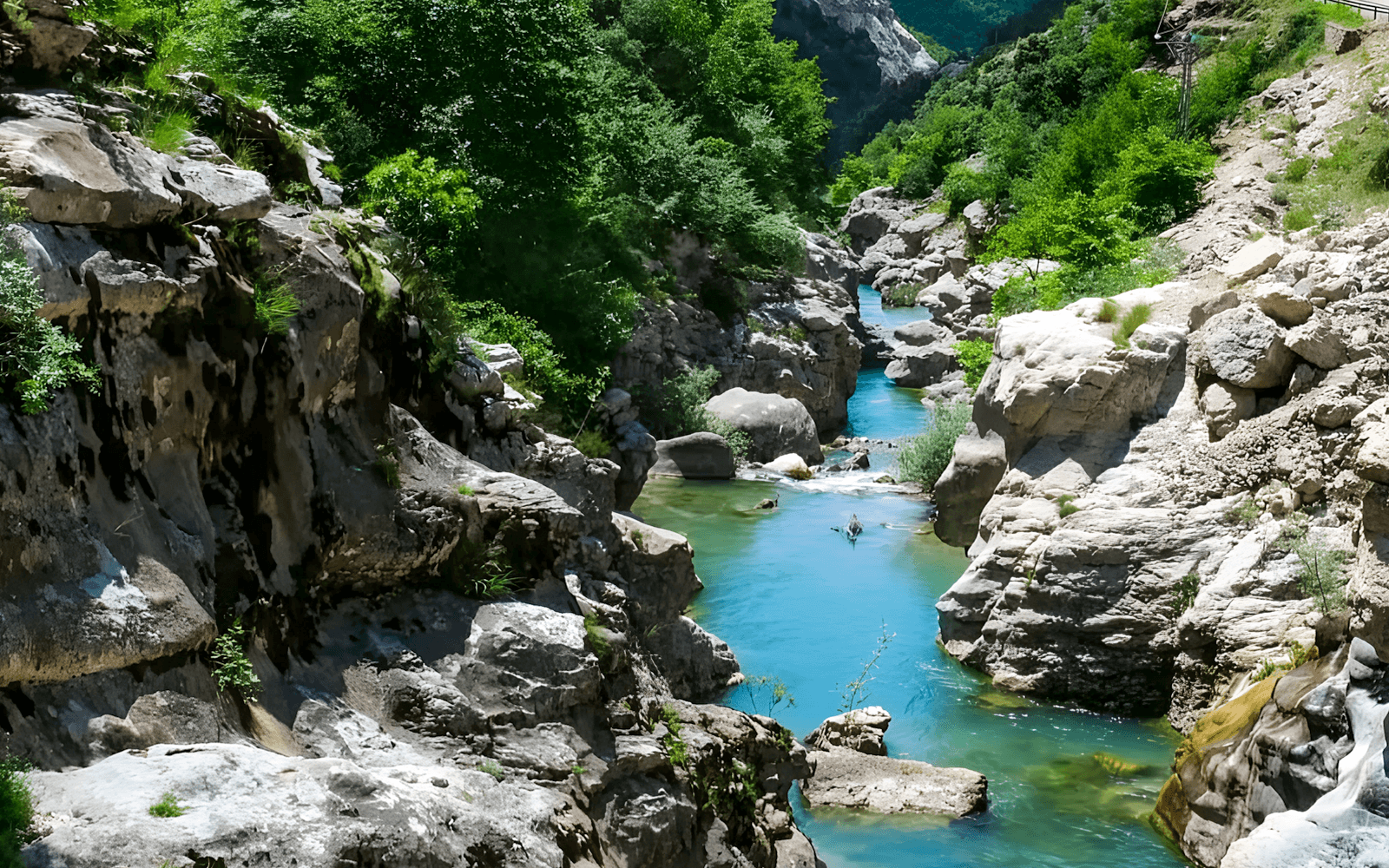 From Tirana: Bovilla Lake & Gamti Mountain Hiking Tour by Coach tickets in Tirana - Activities | TickYourList