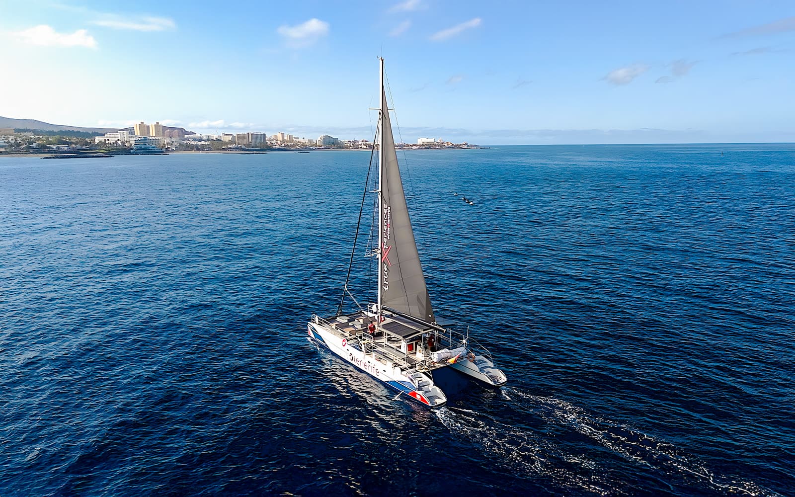 Catamaran Cruise with Whale & Dolphin Watching, Snorkeling, & Lunch