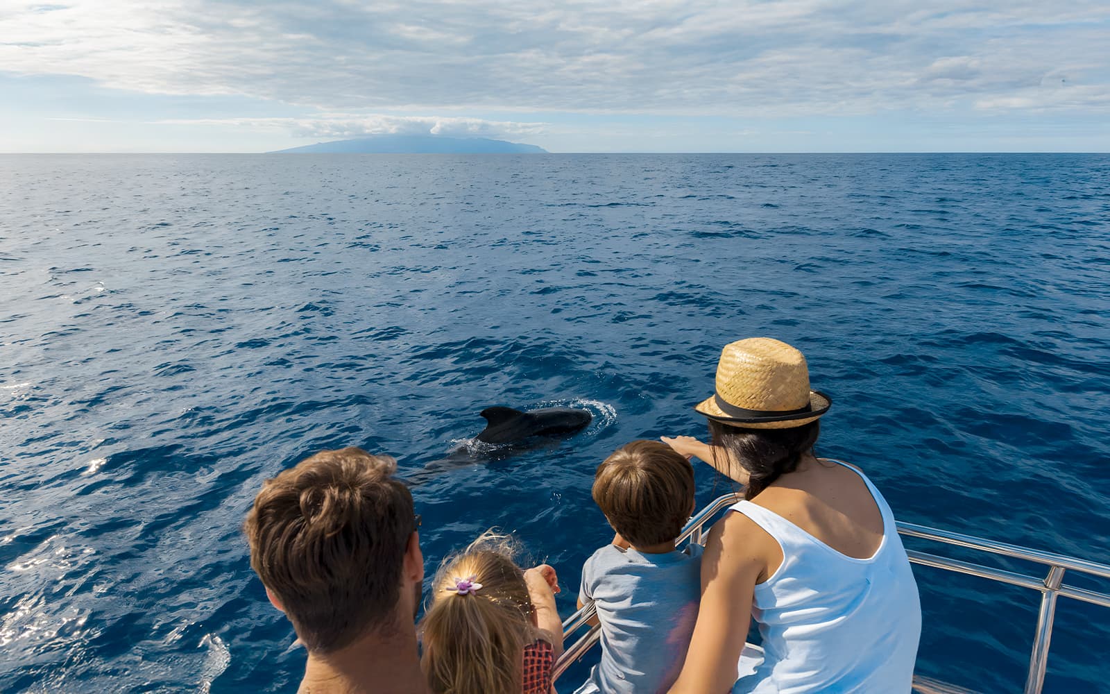 Catamaran Cruise with Whale & Dolphin Watching, Snorkeling, & Lunch tickets in Tenerife - Features | TickYourList