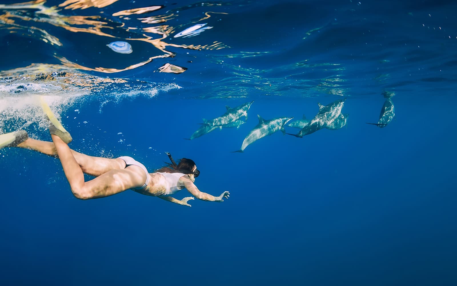 Eco-Sailing Cruise with Whale & Dolphin Watching, Snorkeling & Snacks tickets in Tenerife - Highlights | TickYourList