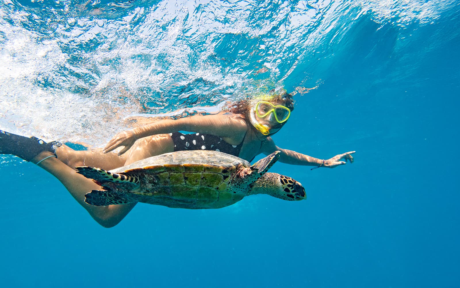 Kayaking & Snorkeling with Dolphins & Turtles
