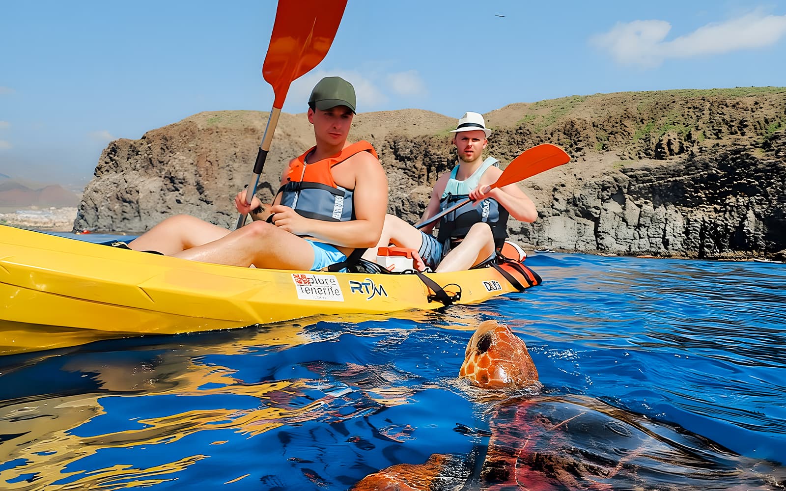 Kayaking & Snorkeling with Dolphins & Turtles tickets in Tenerife - Activities | TickYourList