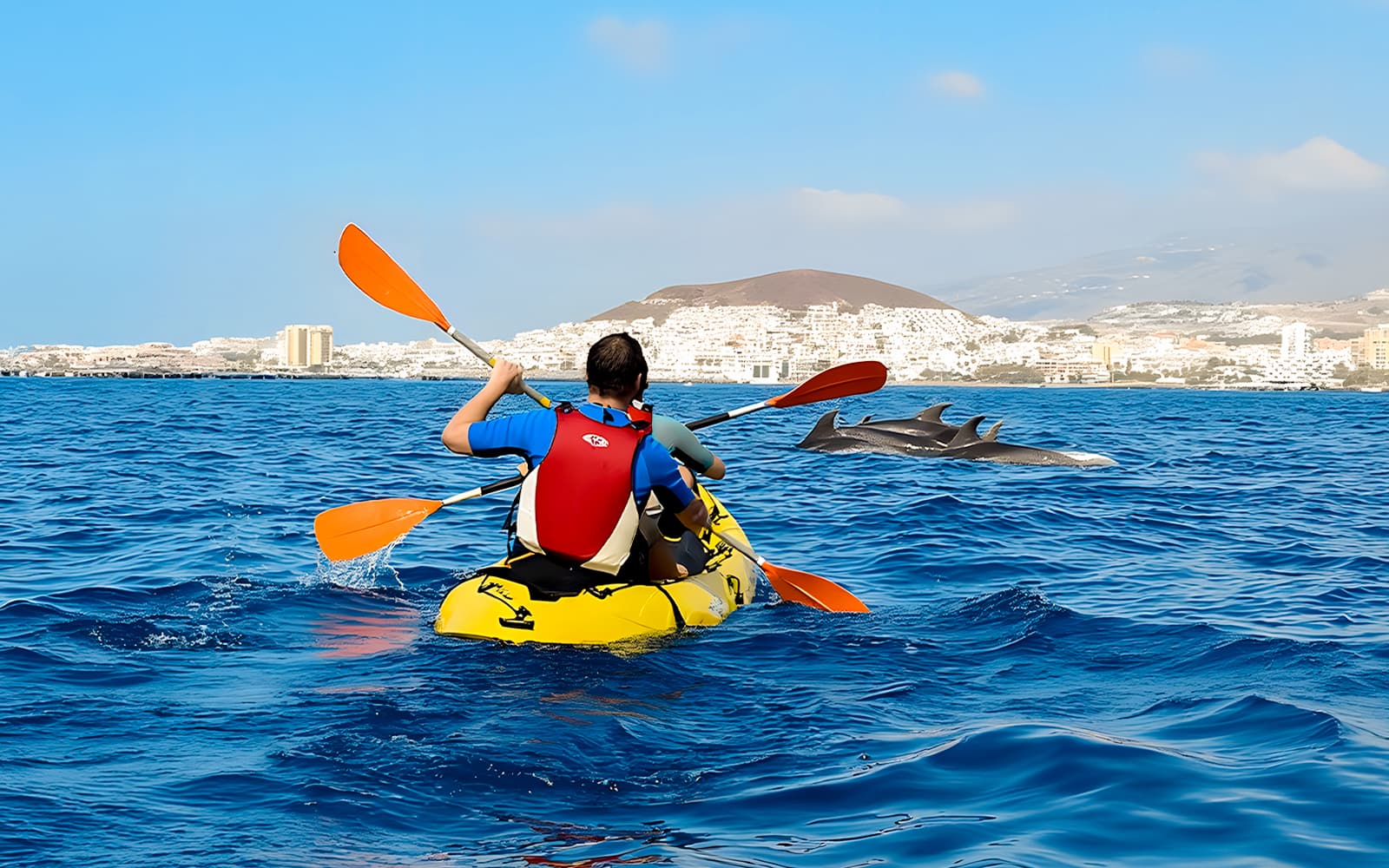Kayaking & Snorkeling with Dolphins & Turtles tickets in Tenerife - Highlights | TickYourList