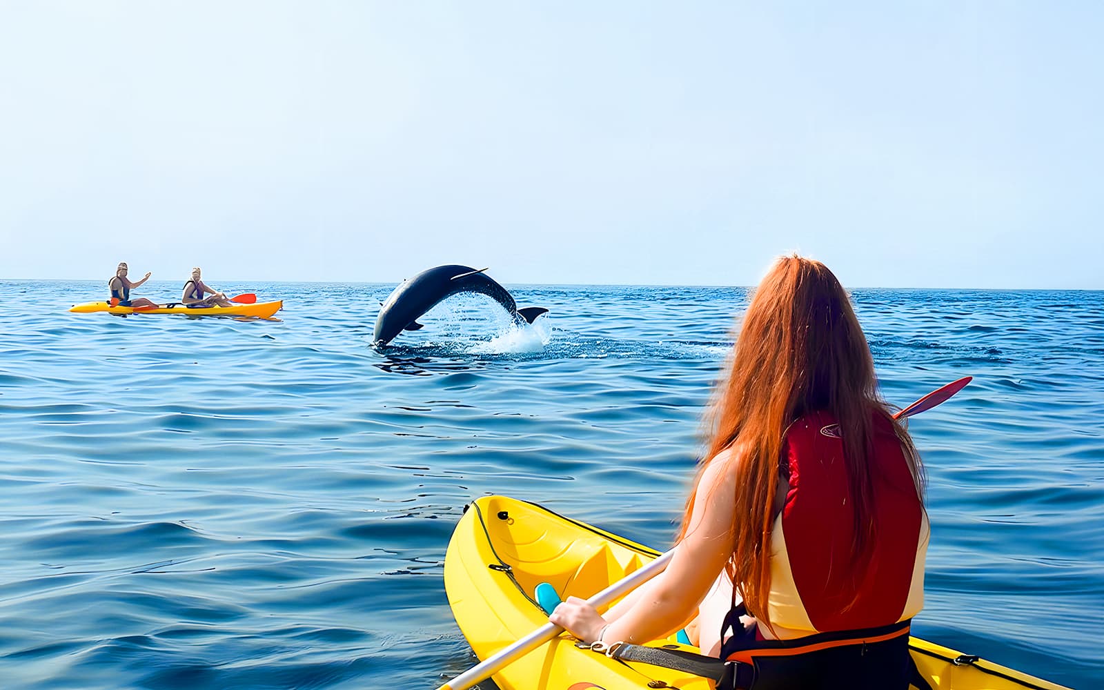 Kayaking & Snorkeling with Dolphins & Turtles tickets in Tenerife - Features | TickYourList