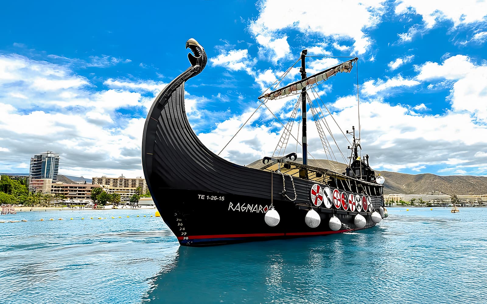 Viking-Themed Cruise with Whale & Dolphin Watching