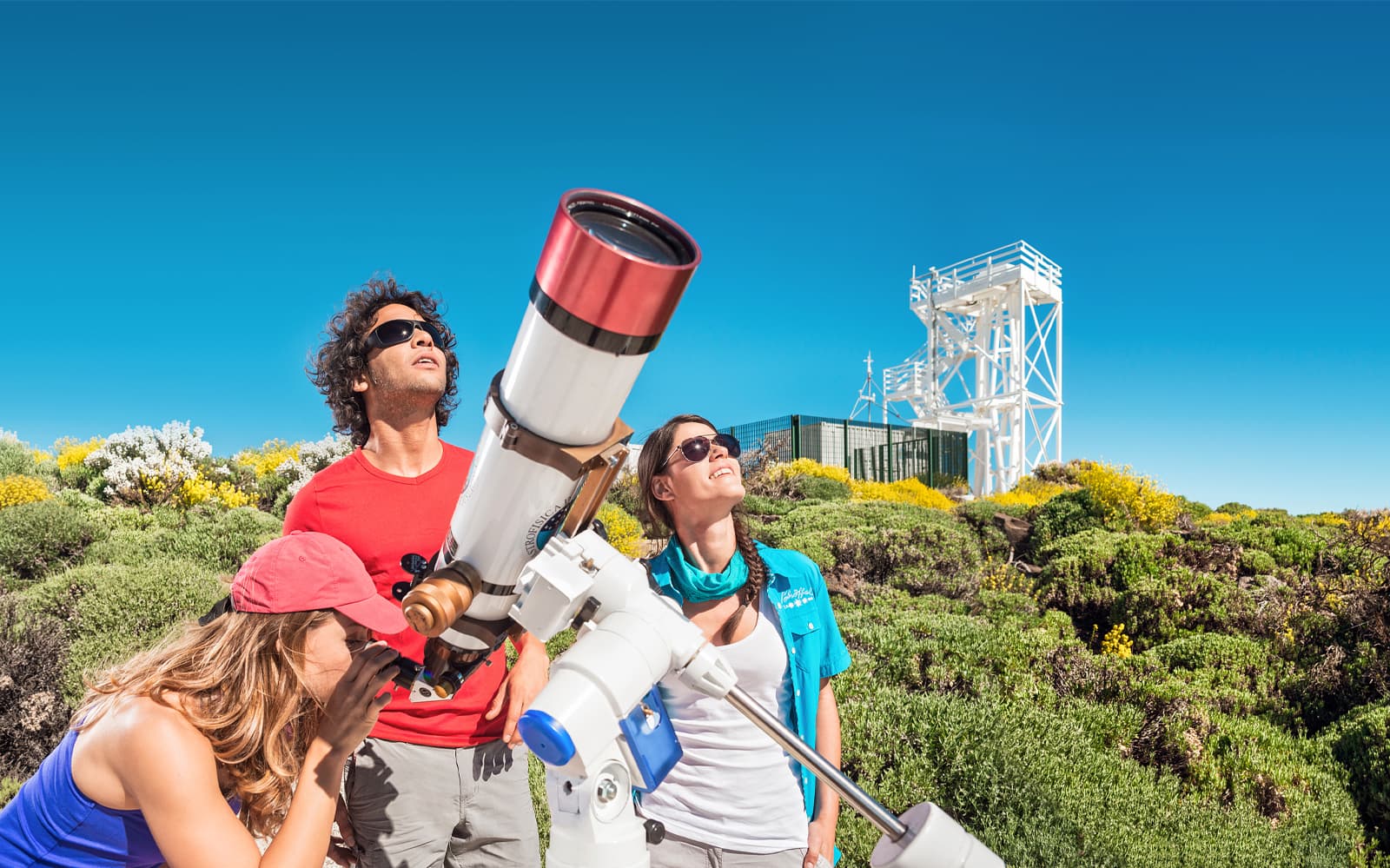 Astronomic Tour to Teide with Observatory Access + Transfers
