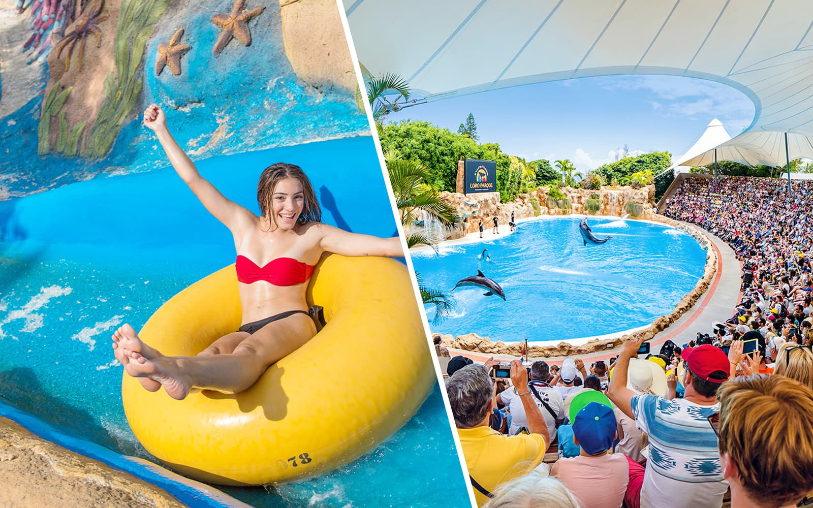 Combo: Aqualand Costa Adeje + Loro Park Skip-the-Line Tickets
