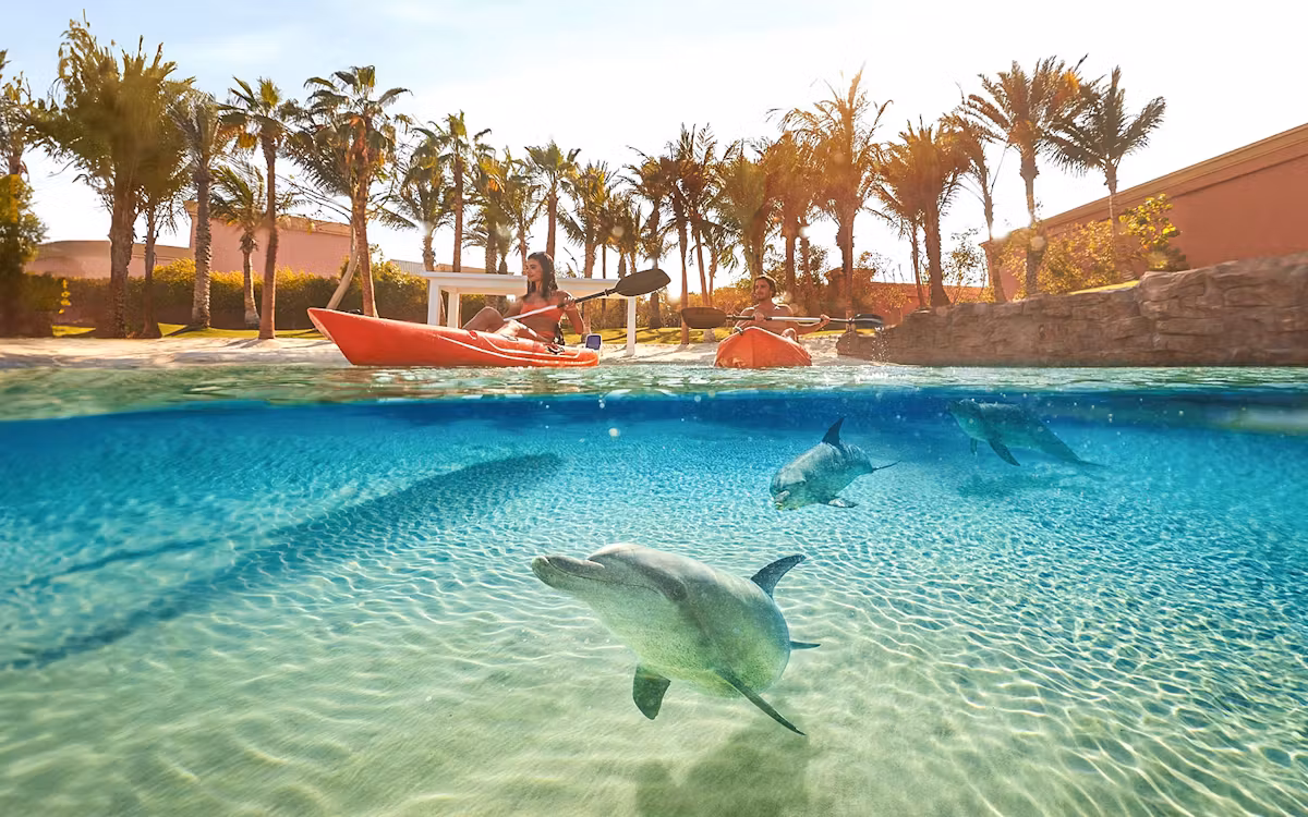 Atlantis The Palm Dolphin Kayak or Paddle Tickets in Dubai - Attractions | TickYourList