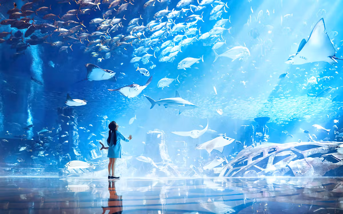 Atlantis The Palm Dolphin Kayak or Paddle Tickets in Dubai - Activities | TickYourList