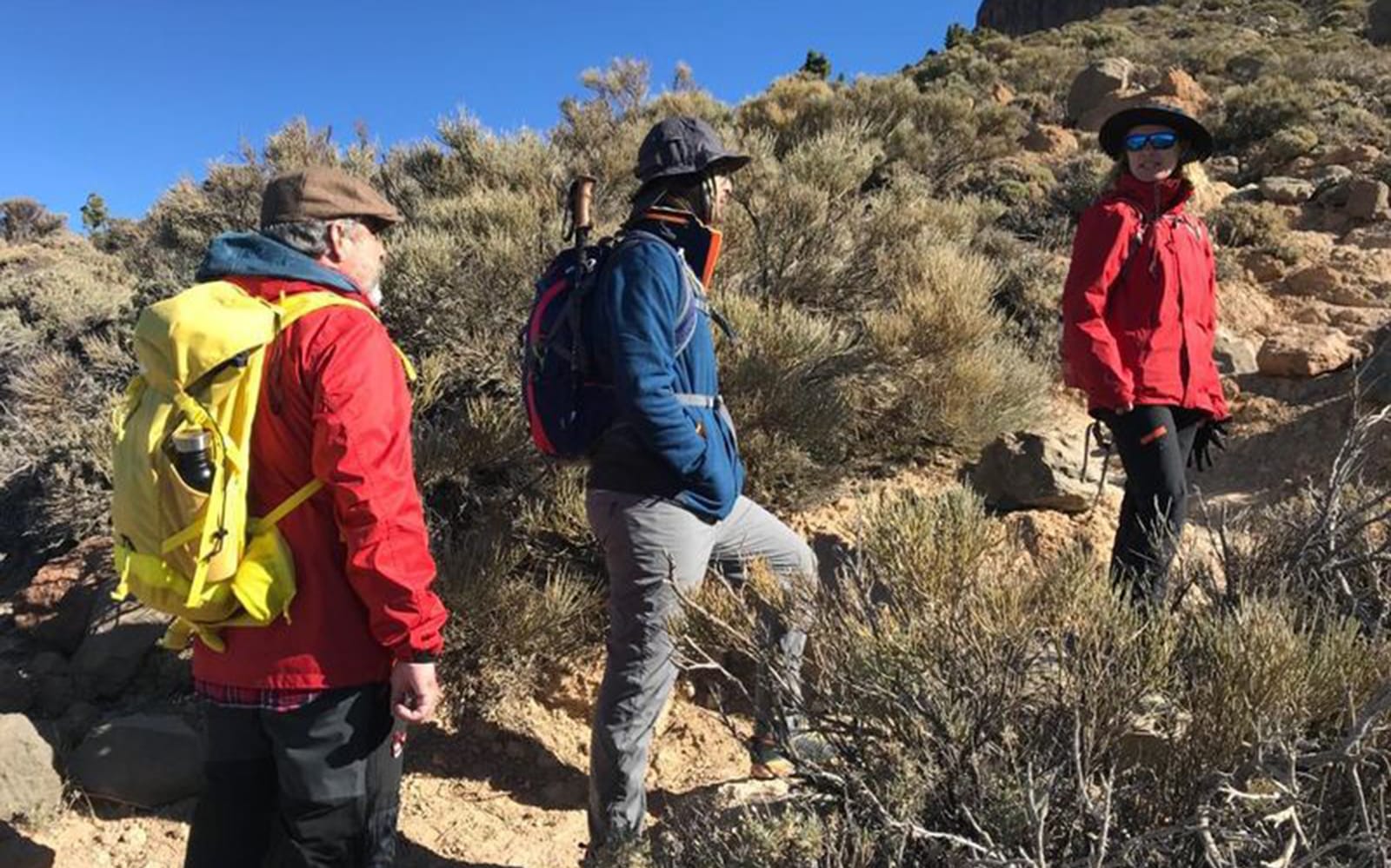 Mount Teide: Cable Car & Guided Tour to the Pico Viejo Viewpoint tickets in Tenerife - Activities | TickYourList