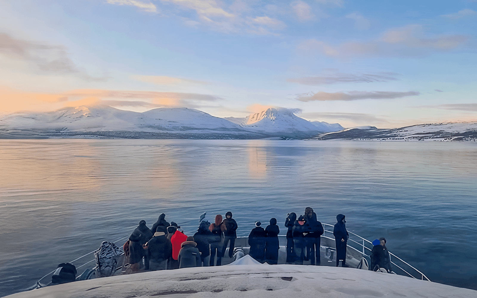 From Tromso: Whale Watching Tour On Motor Catamaran tickets in Tromso - Features | TickYourList